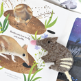 Load image into Gallery viewer, Book and Finger Puppet Set | Jumping Joeys by Sarah Allen