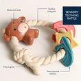 Load image into Gallery viewer, Ritzy Rattle & Teething Ring | Highland Cow