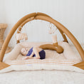 Load image into Gallery viewer, Activity Play Mat | Mustard Gingham Check