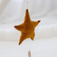 Load image into Gallery viewer, Hanging Musical Star