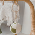 Load image into Gallery viewer, Hanging Rattle Ball