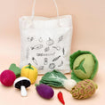 Load image into Gallery viewer, Felt Food Groups Play Food | Vegetables