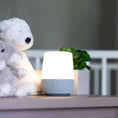 Load image into Gallery viewer, Duet White Noise Machine with Night Light and Wireless Speaker