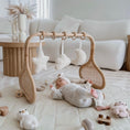 Load image into Gallery viewer, Rattan Play Gym | Frame Only