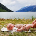 Load image into Gallery viewer, Waterproof Travel Nappy Wallet
