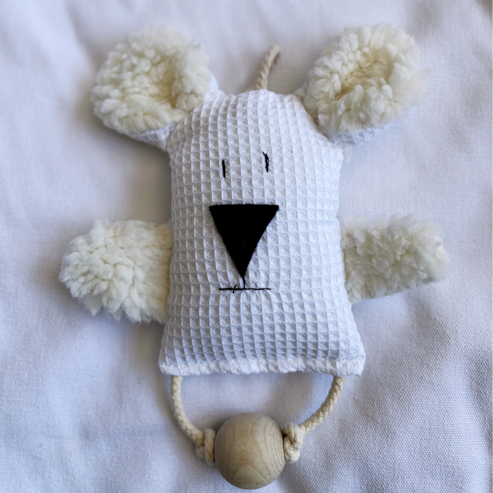 Hanging Billie B. Bear