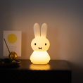 Load image into Gallery viewer, Miffy Shines Light
