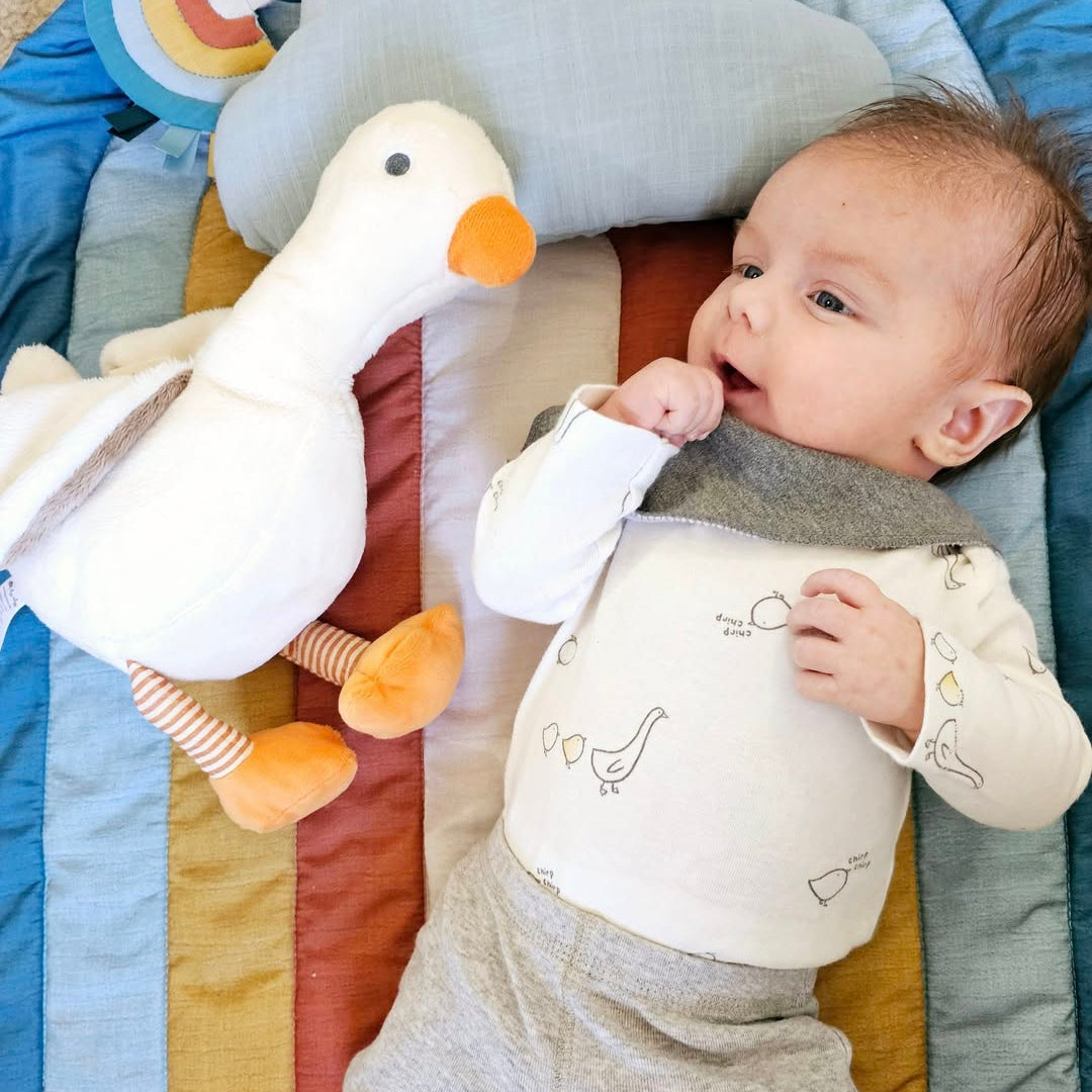 Sweetie Snuggles Plush | Goose