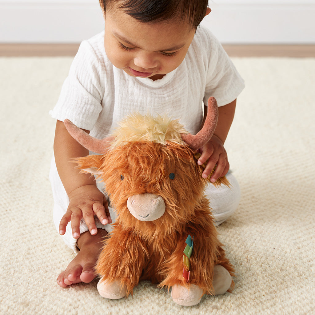 Sweetie Snuggles Plush | Highland Cow