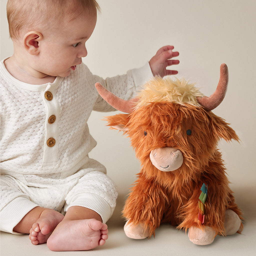 Sweetie Snuggles Plush | Highland Cow