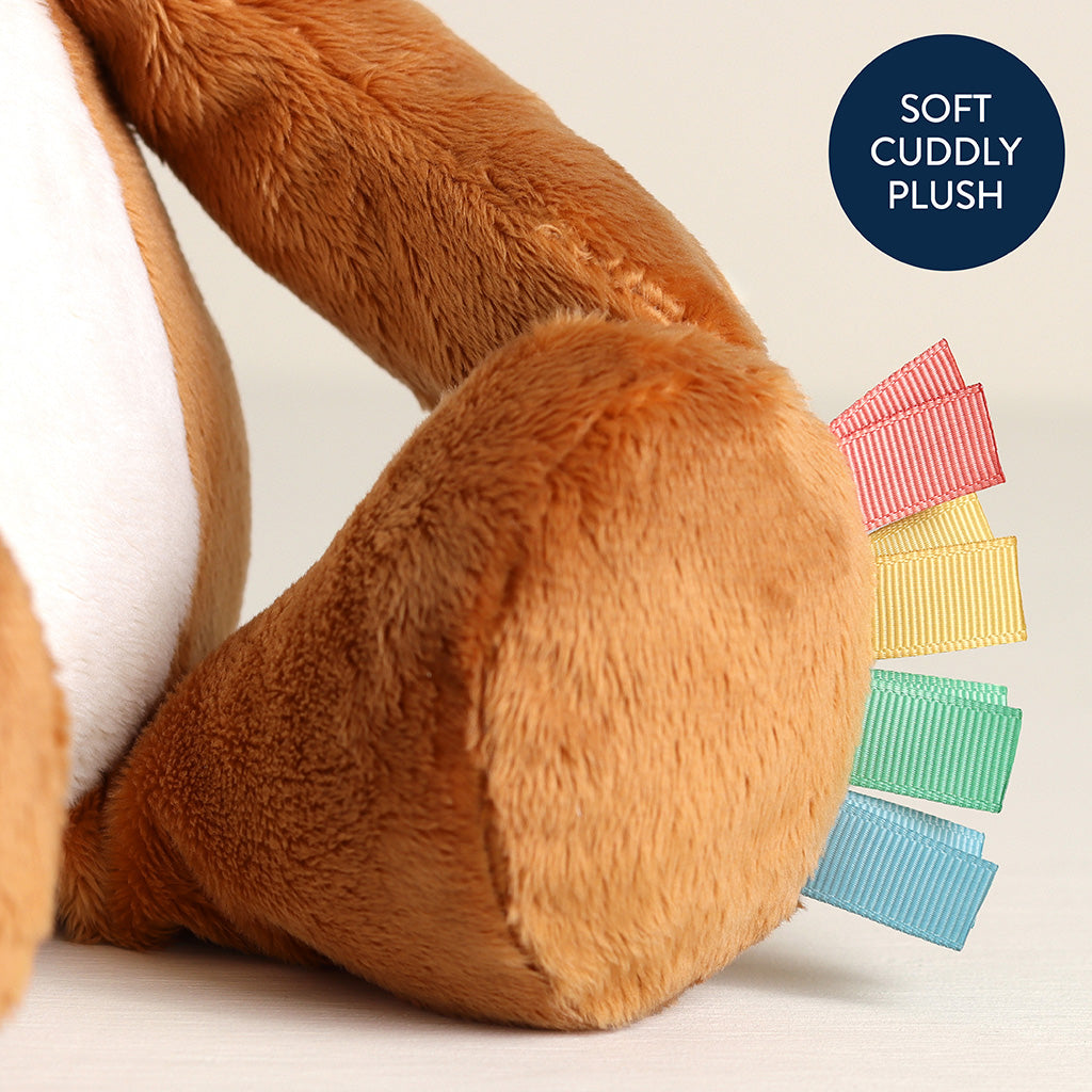 Sweetie Snuggles Plush | Fox