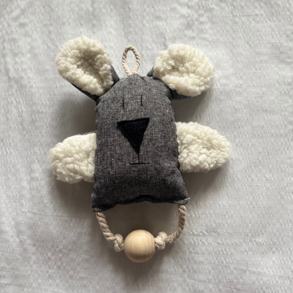 Hanging Billie B. Bear