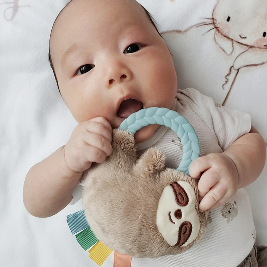 Ritzy Rattle Pal Plush Rattle with Teether | Sloth