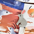Load image into Gallery viewer, Book and Finger Puppet Set | Jumping Joeys by Sarah Allen
