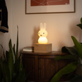 Load image into Gallery viewer, Miffy Shines Light
