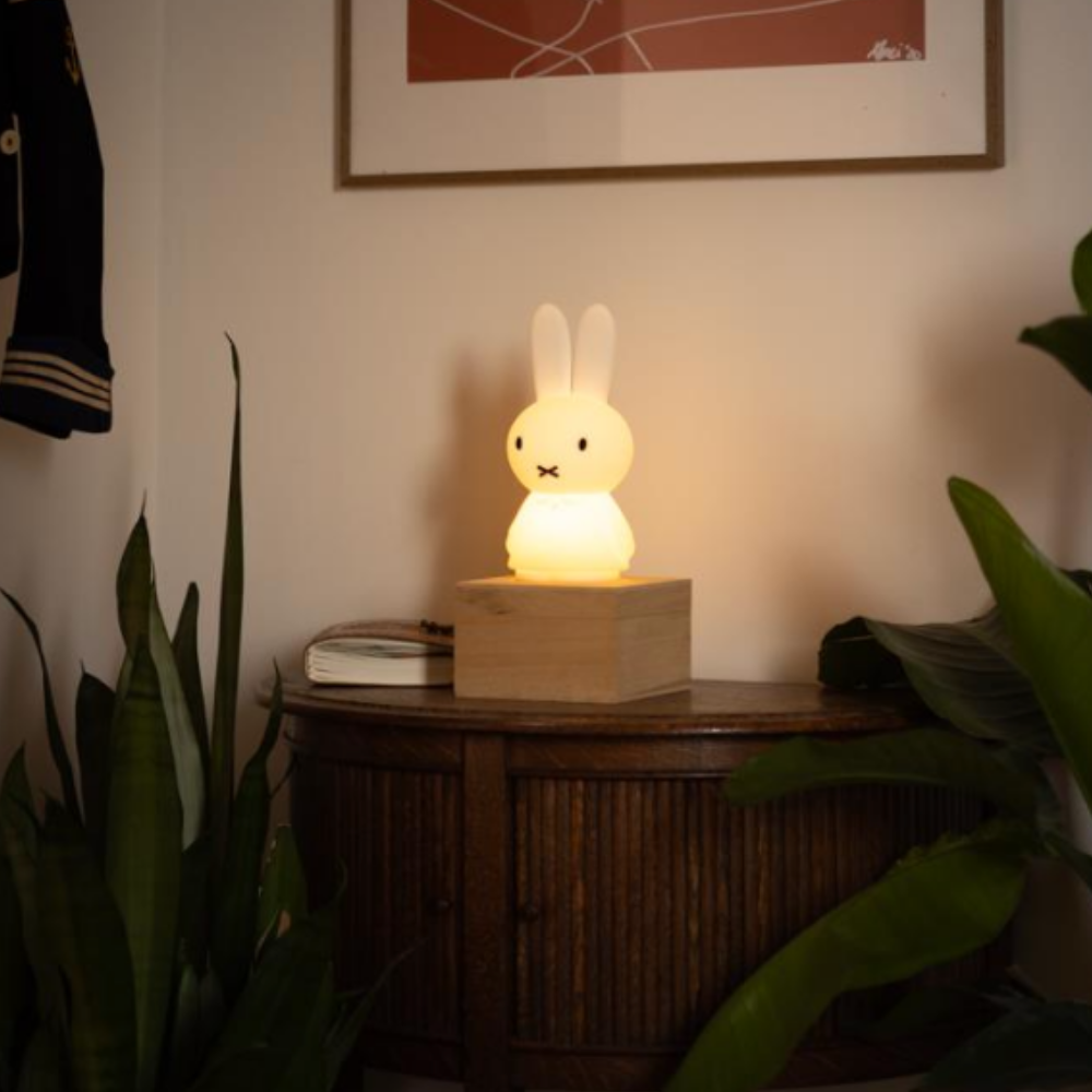Miffy Shines Light