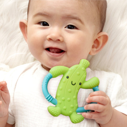 Chew Crew Silicone Handle Teether | Pickle