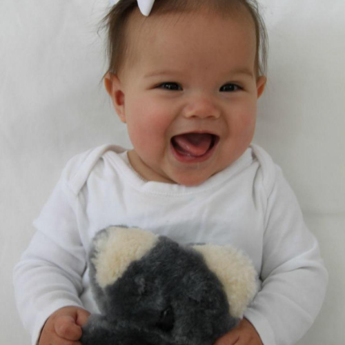 FLATOUTbear baby-Toy-FLATOUTbear-Koala-Merino & Me