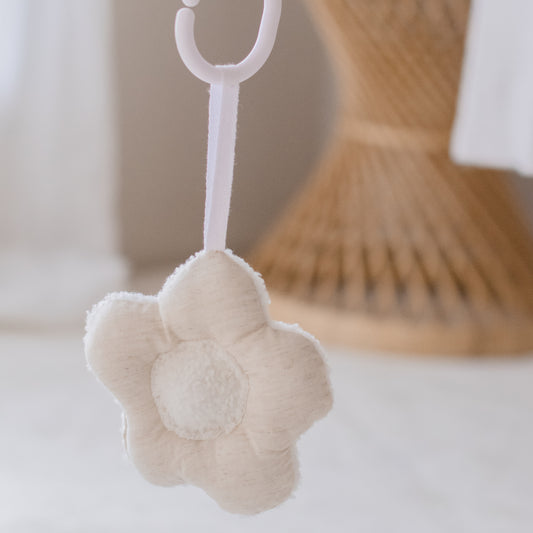 Hanging Rattle Flower