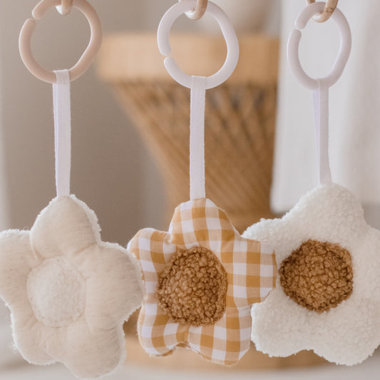 Hanging Rattle Flower