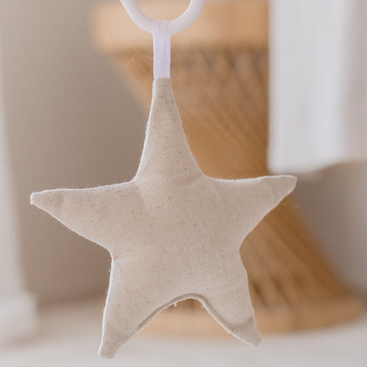 Hanging Rattle Star
