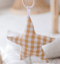 Load image into Gallery viewer, Hanging Rattle Star
