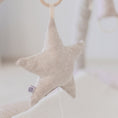 Load image into Gallery viewer, Hanging Musical Star
