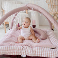 Load image into Gallery viewer, Activity Play Mat | Pink Gingham & Plum
