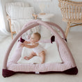 Load image into Gallery viewer, Activity Play Mat | Pink Gingham & Plum
