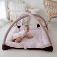 Load image into Gallery viewer, Activity Play Mat | Pink Gingham & Plum
