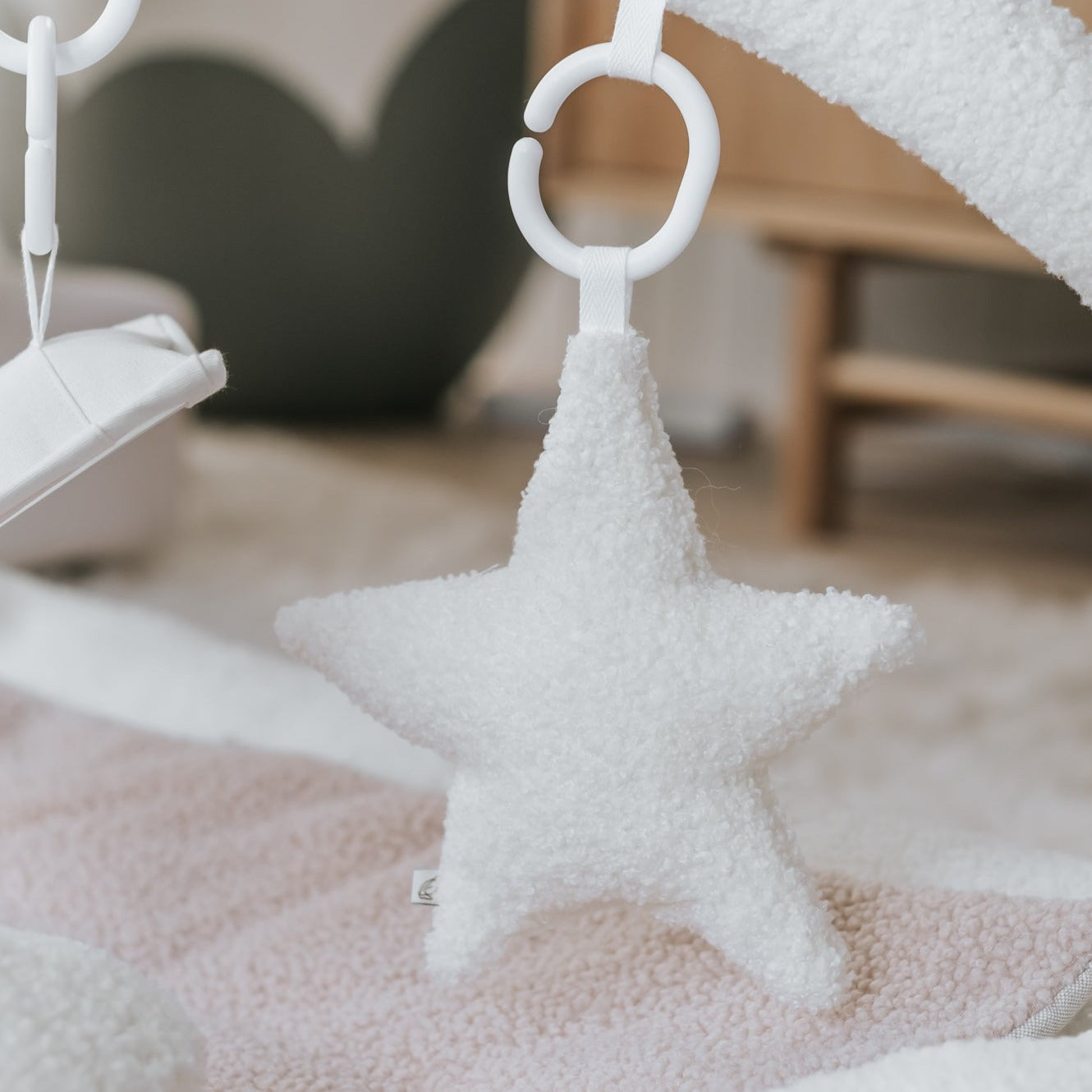 Hanging Rattle Star
