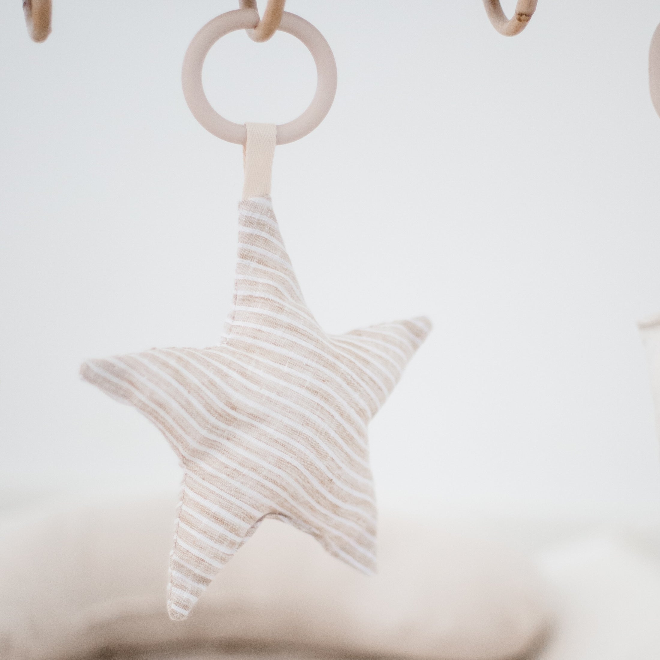 Hanging Rattle Star
