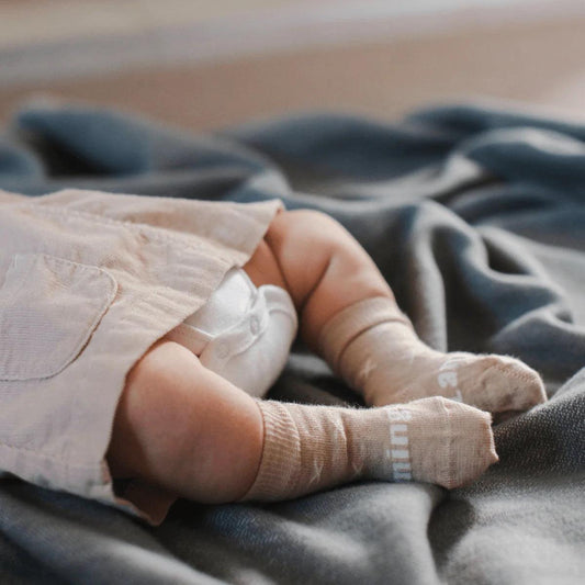 Baby & Kids Crew Socks | Ted