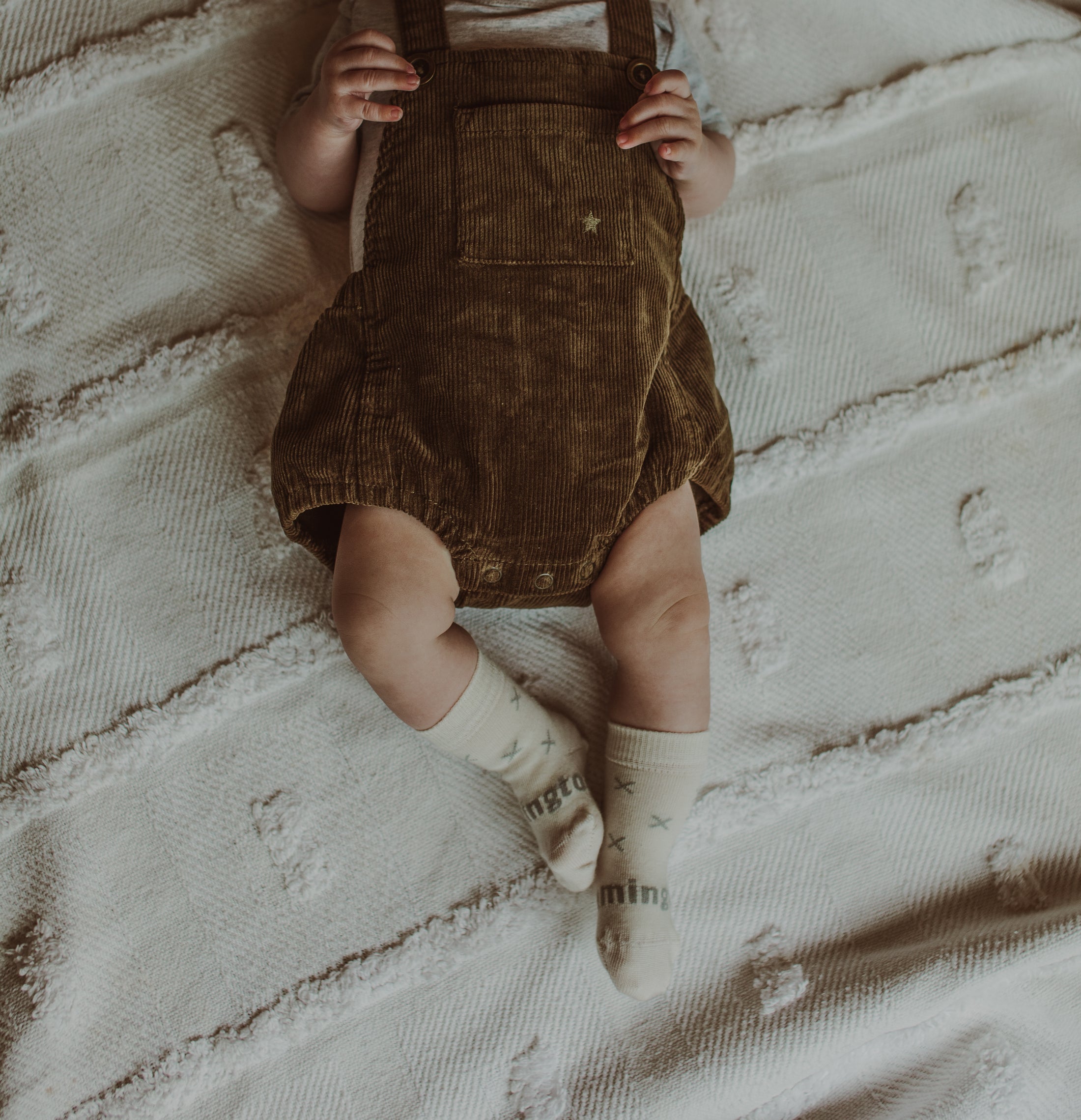 Baby & Kids Crew Socks | Fox