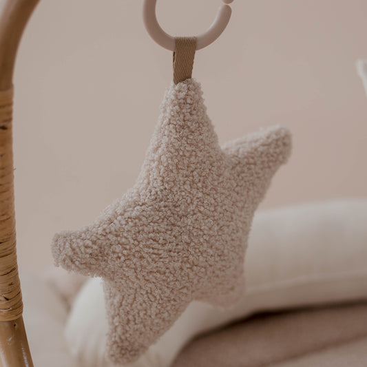 SALE - Hanging Rattle Star