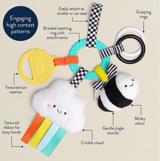 Bitzy Busy Teething Ring | High Contrast