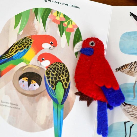 Book and Finger Puppet Set | Busy Beaks
