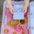 Load image into Gallery viewer, Outdoor Adventure Play Cards
