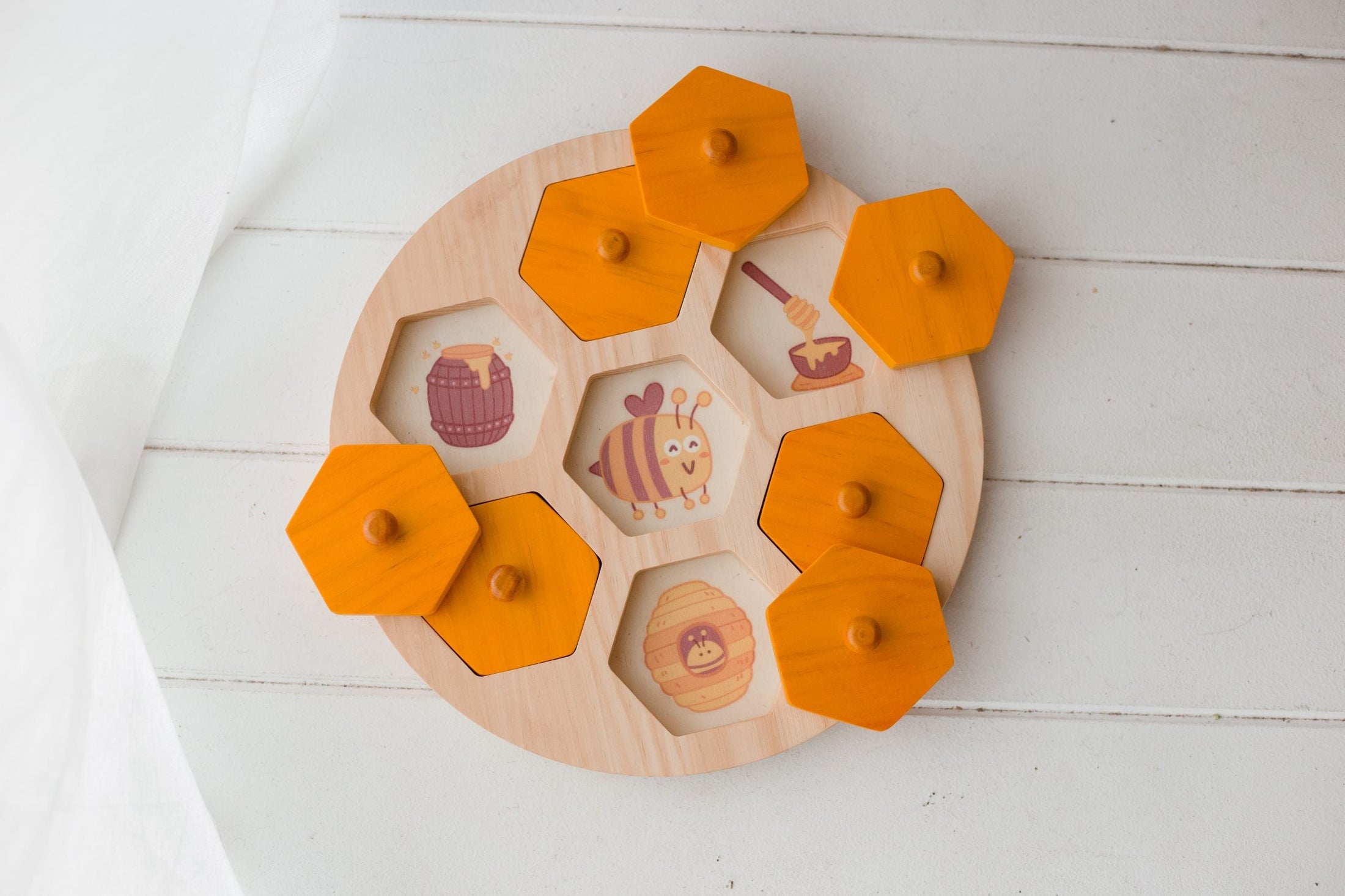 Bee Life Cycle Hive Puzzle