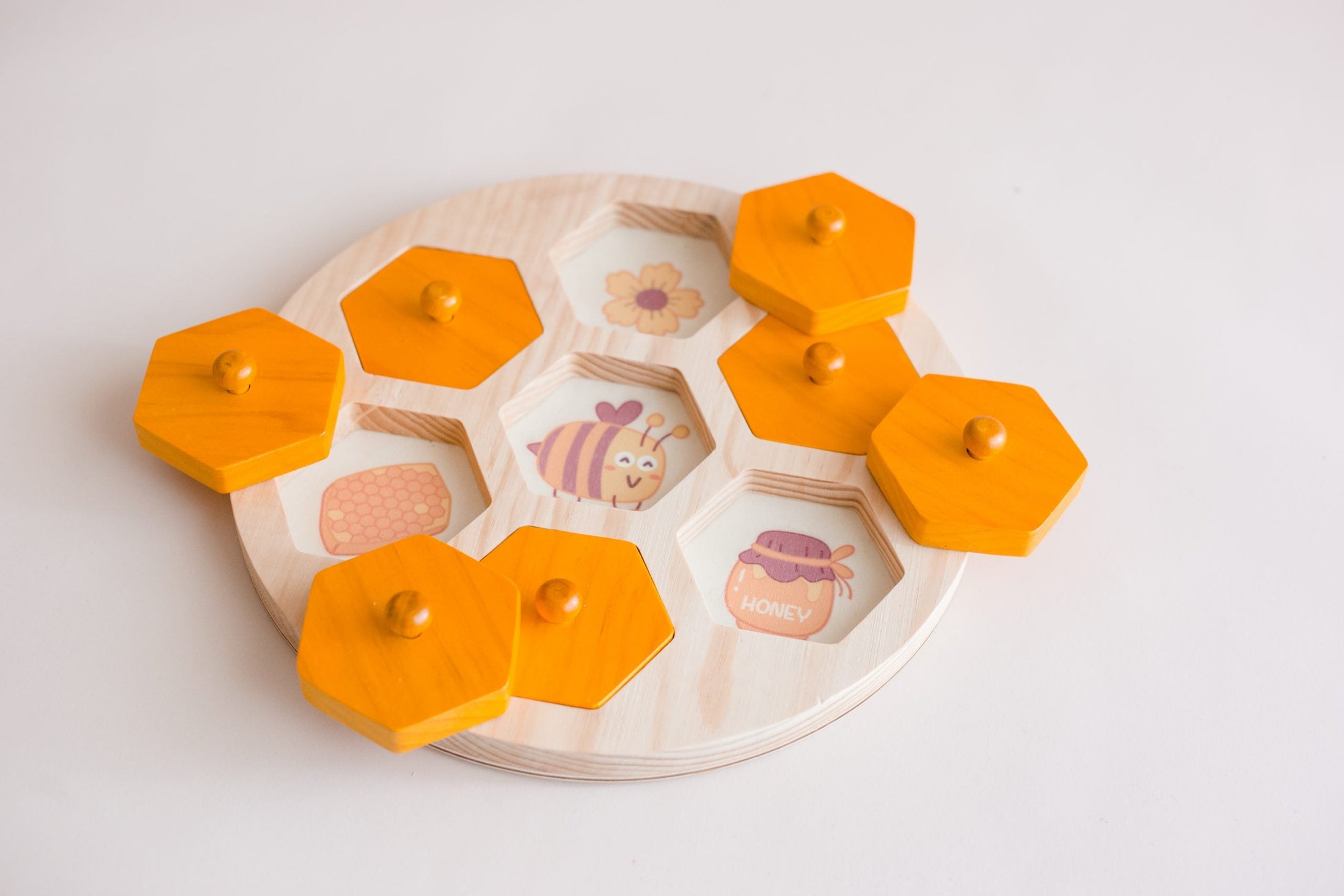 Bee Life Cycle Hive Puzzle