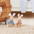 Load image into Gallery viewer, Beatrix Potter- Signature Peter Rabbit Beanie Plush 18cm
