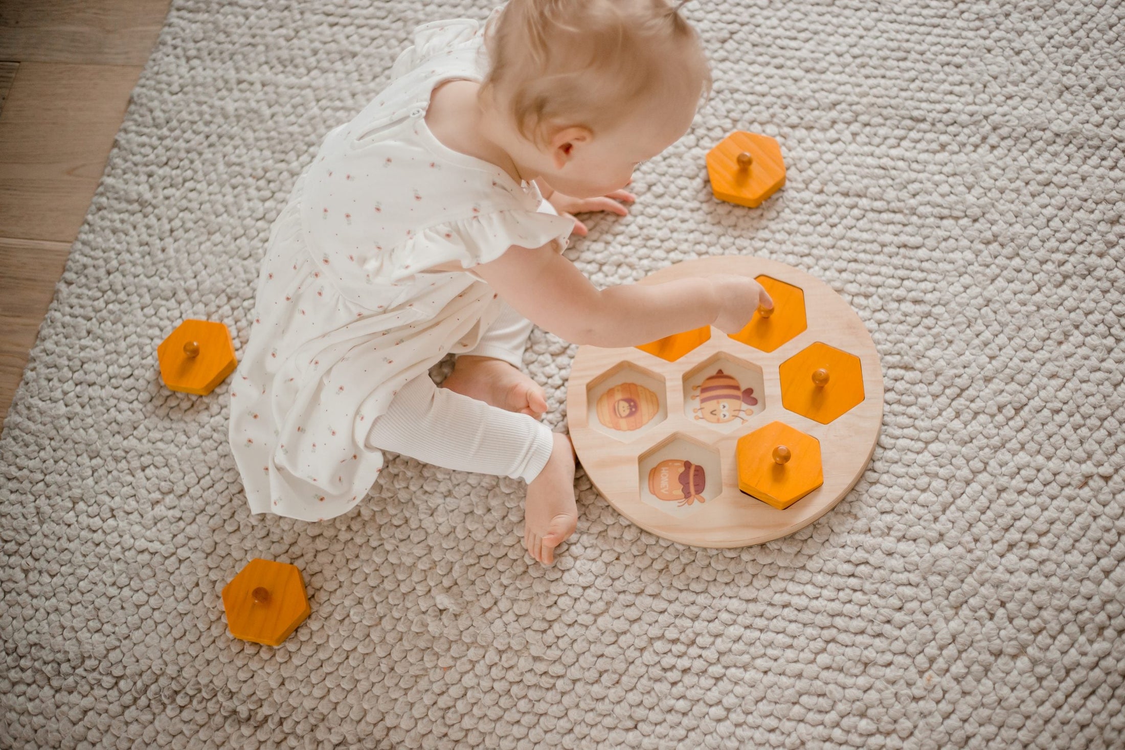 Bee Life Cycle Hive Puzzle