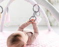 Load image into Gallery viewer, Baby Links - Set of Five
