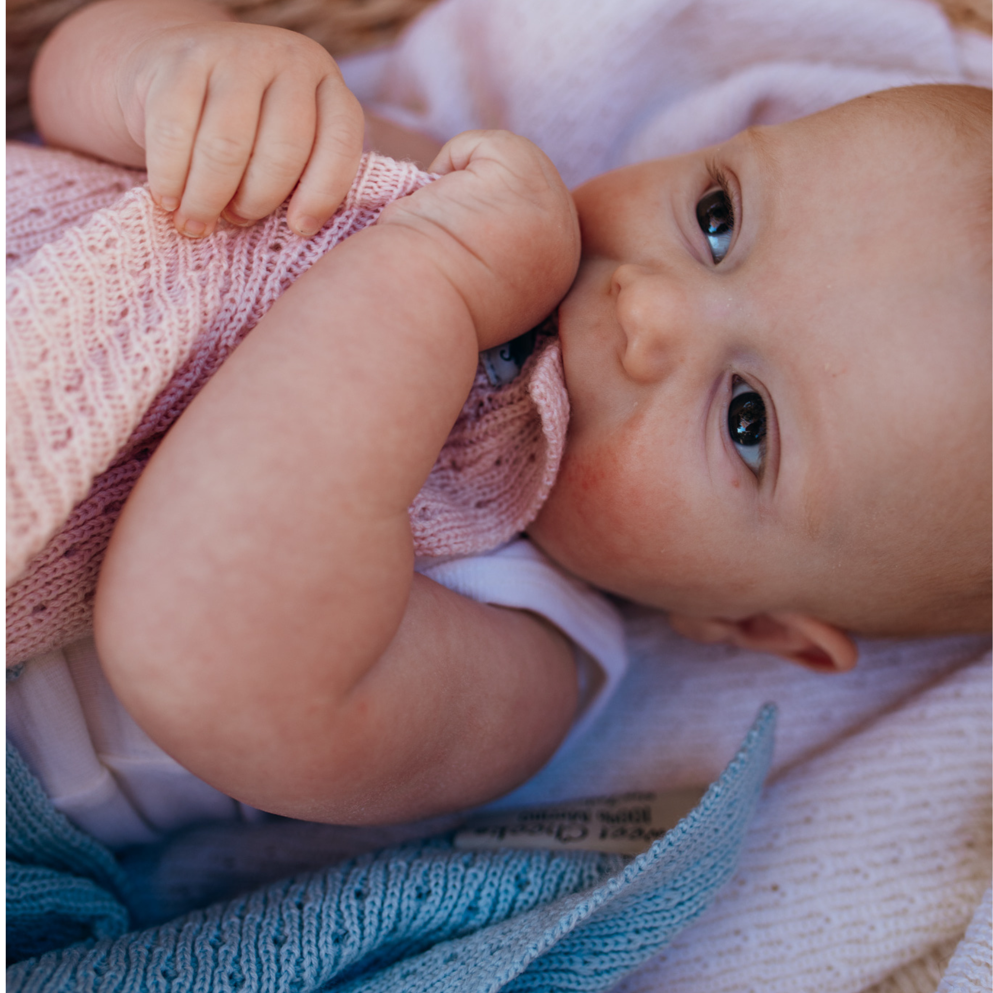 Merino Knit Blanket | Light Pink