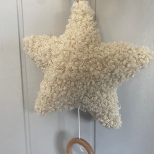 Hanging Musical Star | Teddy